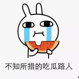 吃瓜群众的流量,吃瓜群众流量背后的网络现象解析