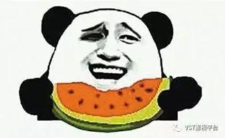 吃瓜群众发财视频,揭秘吃瓜群众如何一夜暴富