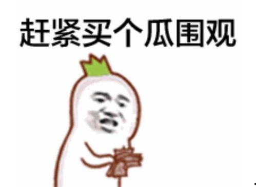 吃瓜群众发财视频,揭秘吃瓜群众如何一夜暴富