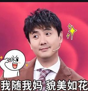 吃瓜直播沈腾,揭秘娱乐圈幕后故事