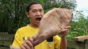 吃猪蹄刘大瓜,揭秘吃猪蹄背后的美食传奇