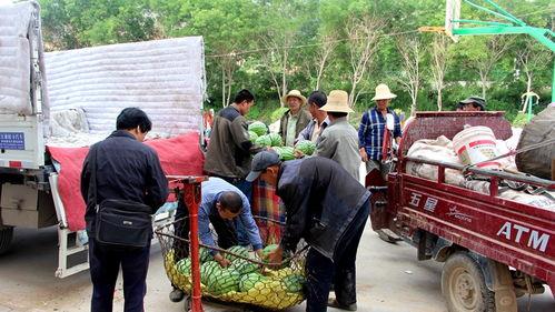 奇台吃瓜群众,揭秘当地独特生活风情