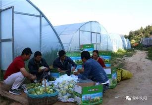 奇台吃瓜群众,揭秘当地独特生活风情