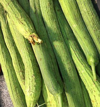 山羊可以吃秋瓜吗