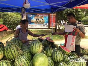 南京吃瓜视频小区,揭秘社区生活热点与邻里故事