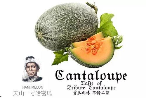 吃瓜的公众号推荐