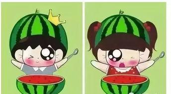 monkey 吃瓜,猴子的夏日清凉时光