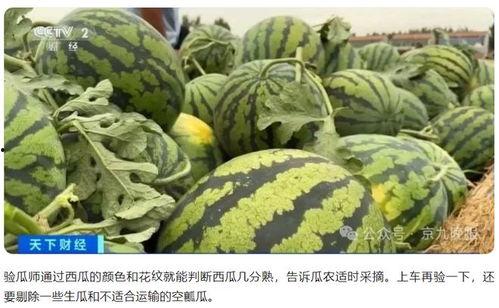 黄俊熙视频吃瓜,揭秘娱乐圈幕后故事