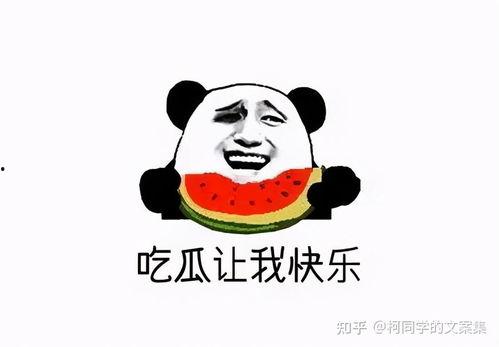吃大瓜搞笑文案