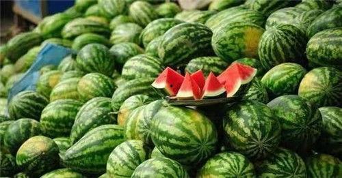 吃瓜饱腹,揭秘夏日消暑美食的神奇魅力