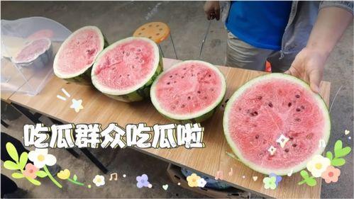 吃瓜群众的瓜是什么味,酸甜苦辣尽在其中