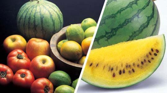 黄心瓜咋样吃,探索美味新境界