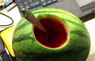 黄心瓜咋样吃,探索美味新境界