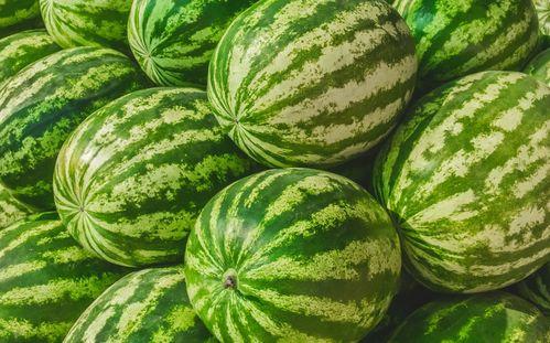 吃瓜视频在哪找,吃瓜视频平台，轻松找到热门娱乐资讯的秘籍