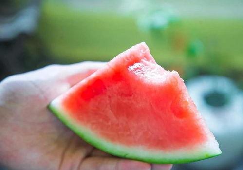 吃瓜开心的视频,揭秘热门视频背后的趣味故事