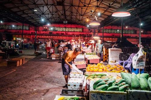 重庆公交圈吃瓜