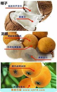 大白瓜怎么挑水果吃,大白瓜挑选与食用指南