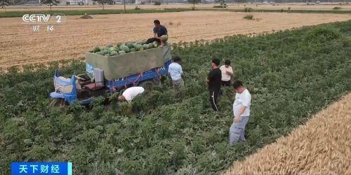 吃瓜财经下沉,揭秘下沉市场的消费秘密