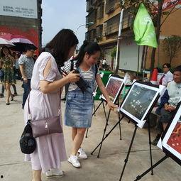 即墨吃瓜群众事件