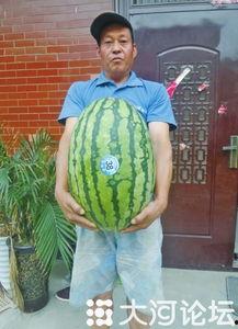 51吃网瓜今日吃瓜必吃