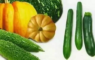 不夜天吃瓜,揭秘夜市美食背后的故事