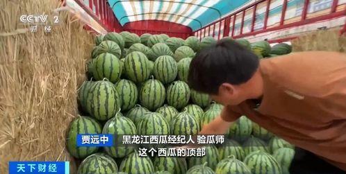 不夜天吃瓜,揭秘夜市美食背后的故事