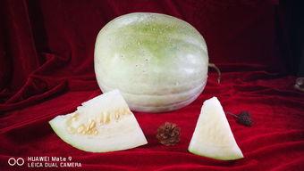 怎样吃三白瓜,轻松掌握三白瓜的养生吃法