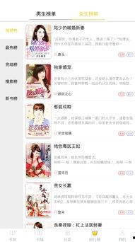 吃瓜鑫鑫小说,揭秘娱乐圈背后的秘密与真相