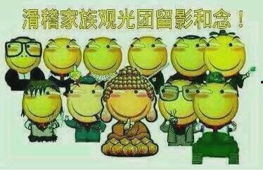 吃瓜群众tcm