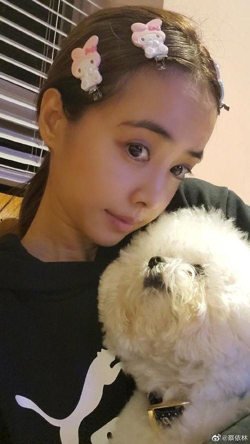 吃瓜少女发夹视频,揭秘网红发饰潮流新趋势