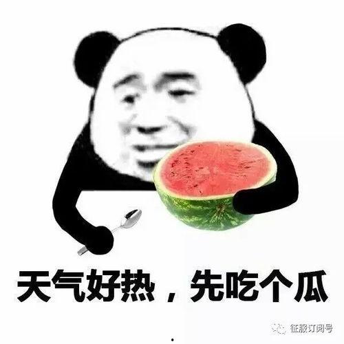 吃瓜的闰土