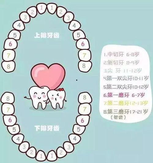 换牙可以吃瓜了,美味瓜果助力健康成长