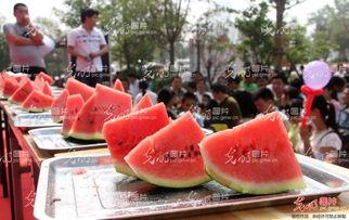 湖北吃瓜恶心想吐,揭秘为何吃瓜恶心想吐的神秘面纱