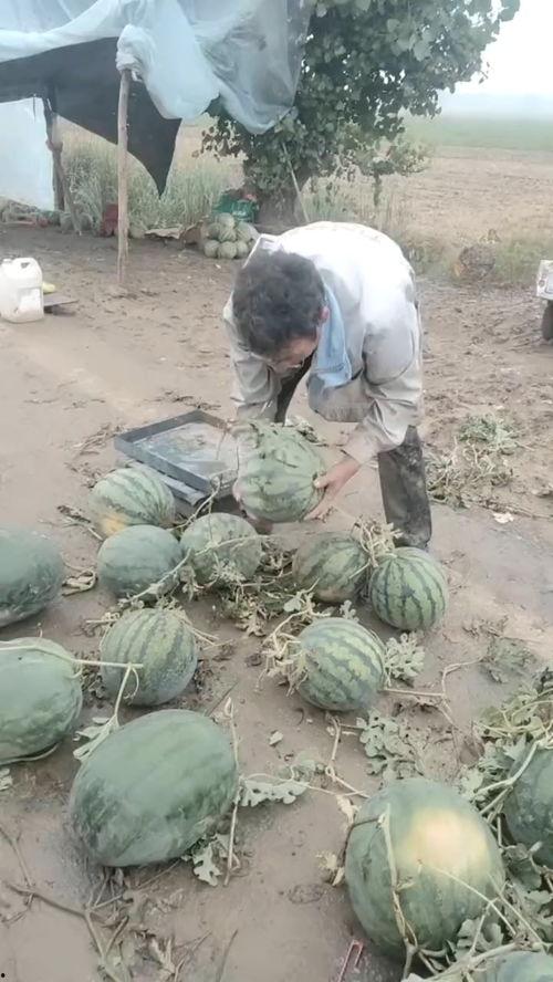 穷就莱阳钢管 吃瓜,揭秘钢管行业的逆袭之路”
