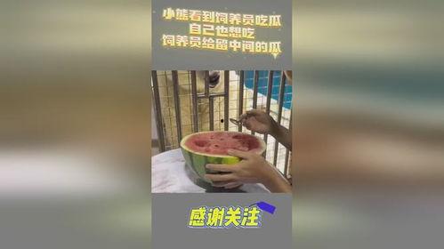 吃瓜小熊周也,揭秘娱乐圈背后的那些事儿