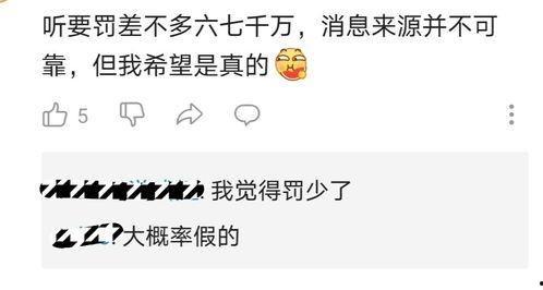 吃瓜群众咨询站