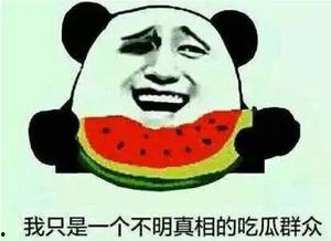 我们吃瓜该不该动脑子,理性看待网络热点，别让情绪左右思维
