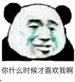 吃瓜的表情熊猫头,揭秘萌宠界的“八卦达人”