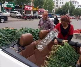 盐城宝马哥吃瓜事件,一场网络热议的真相探寻