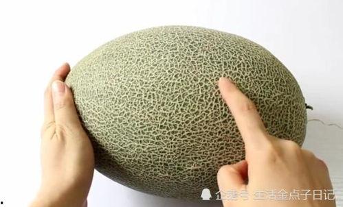 请你吃哈密瓜