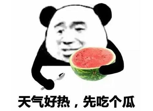 吃瓜表情没了