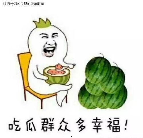 我吃瓜就能变强
